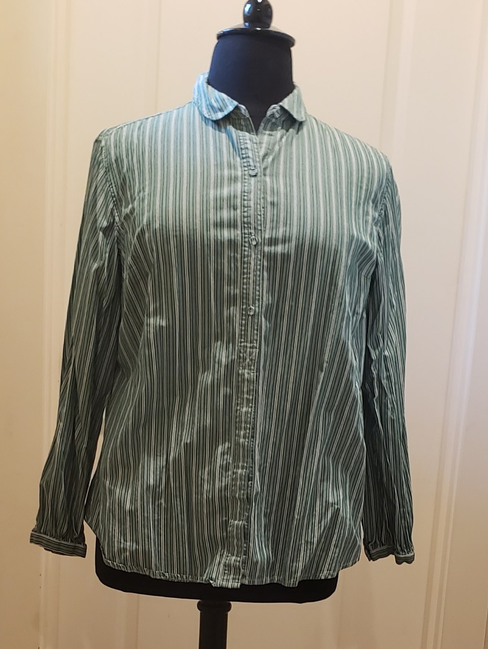 Liz Claibourn Women's Green Stripe Button-Down Shirt